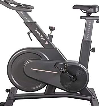 bicicletas estaticas bh h8702 opiniones