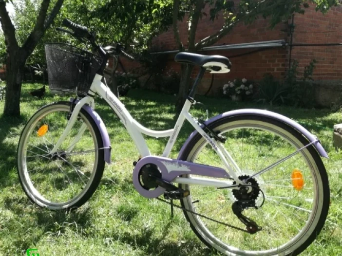 bicicletas estaticas boomerang decathlon precio