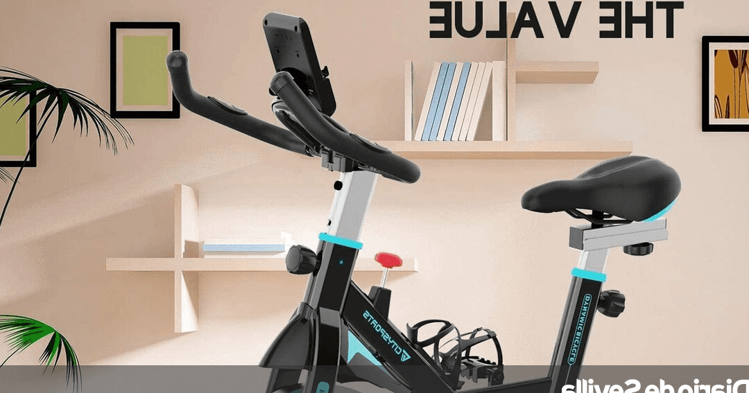 bicicletas estaticas chicp precio opiniones