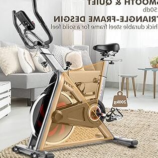 bicicletas estaticas dhl caracteristicas