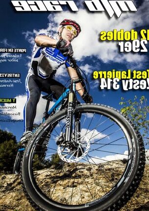 bicicletas estaticas giant opiniones caracter