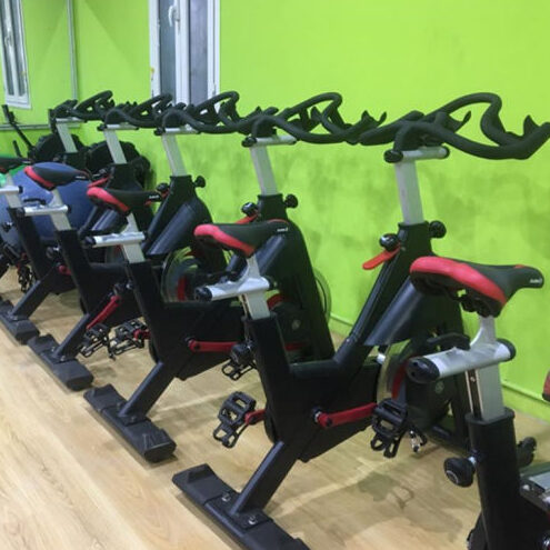 bicicletas estaticas gs caracteristicas
