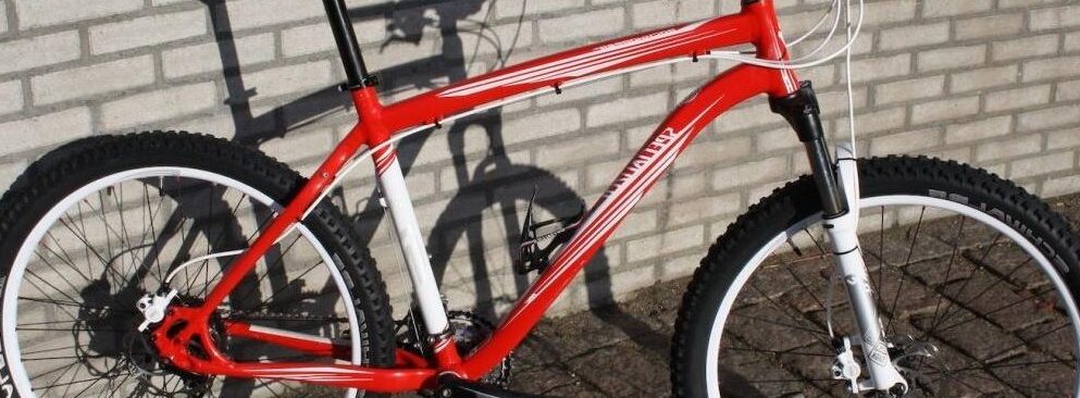 bicicletas estaticas plegables beistegui opiniones