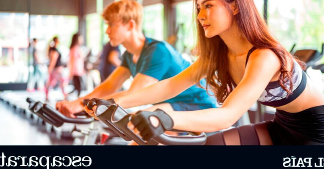 Spyn Bicicletas estáticas spyn mc fitness line: Precio - Opiniones ...
